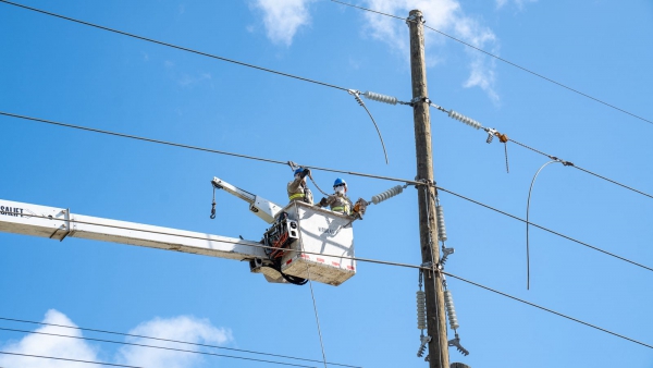 ETED anuncia mantenimiento en línea de transmisión 69 kV La Vega-Constanza este 21 de noviembre