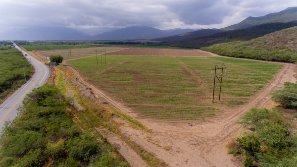 ETED trabajará en líneas de San Cristóbal y Peravia este martes